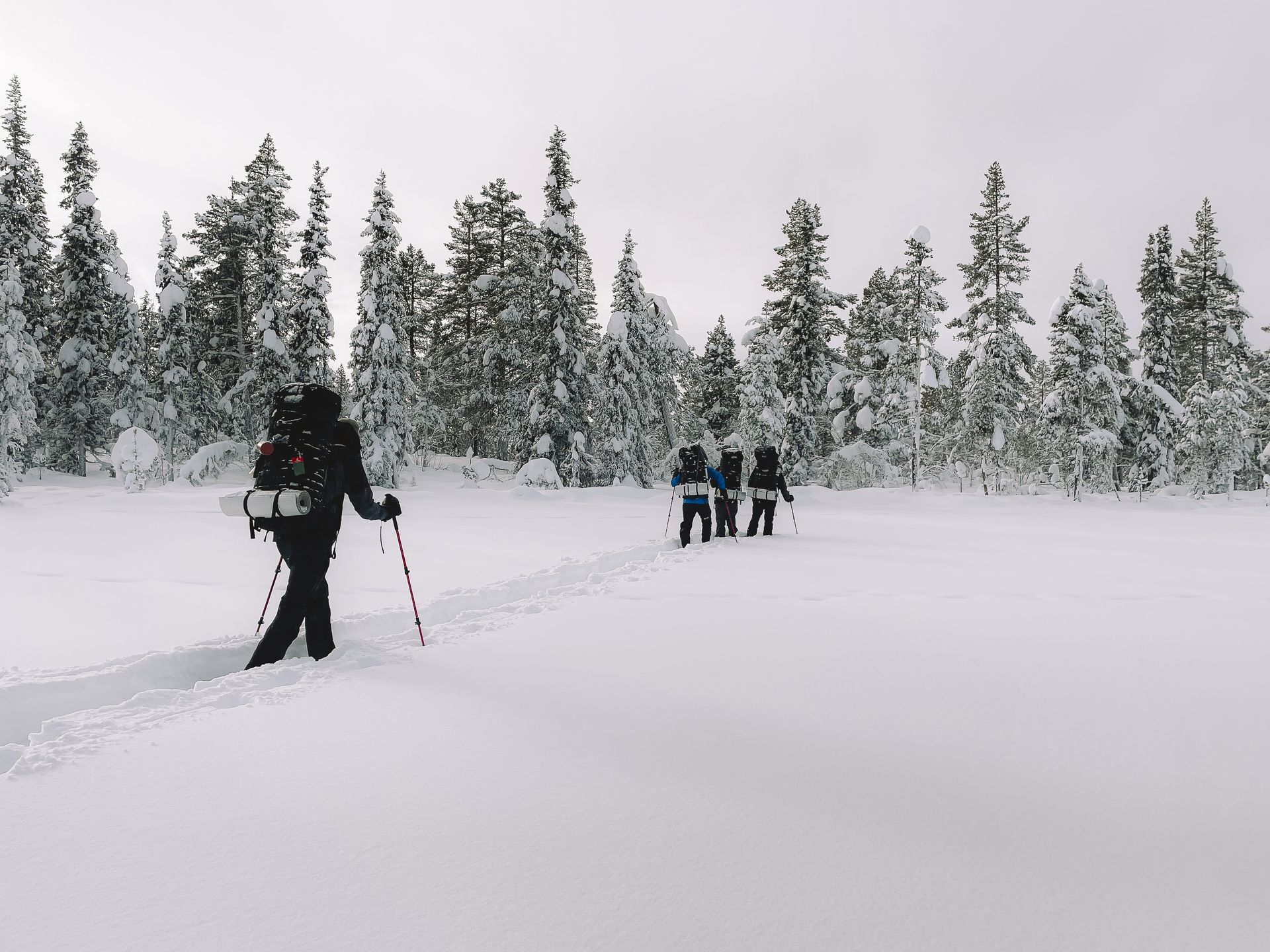 Expeditie in Arctisch landschap