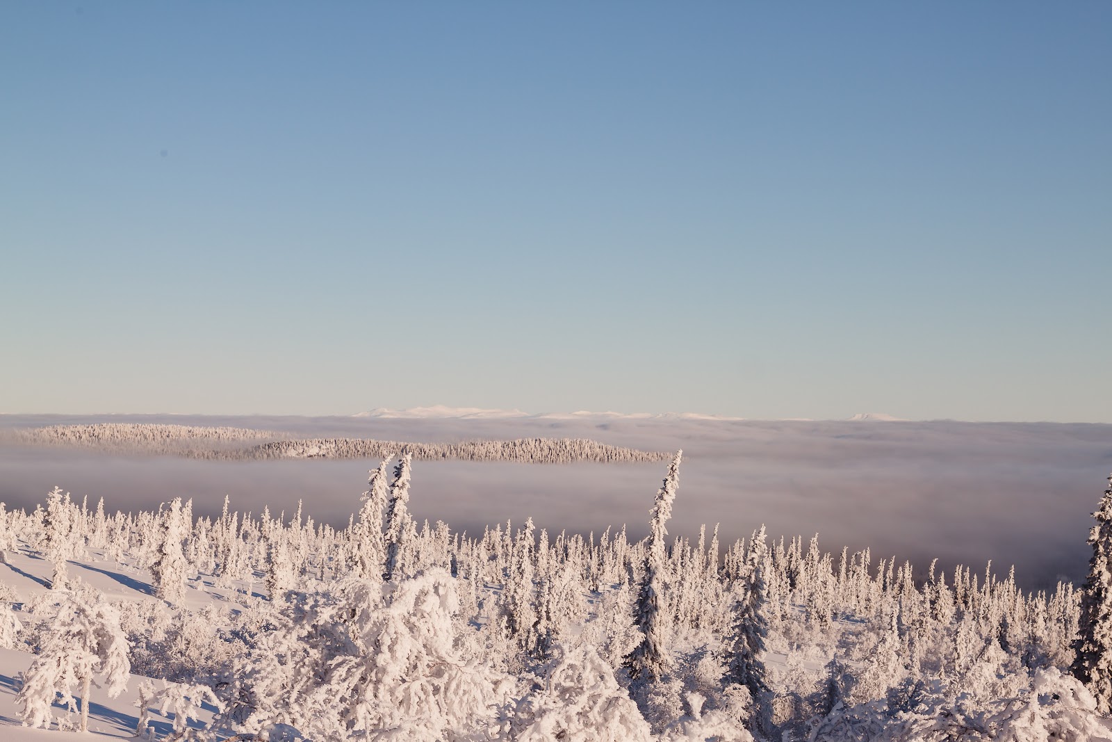 Sea of clouds below the peaks on the Nordkalotten