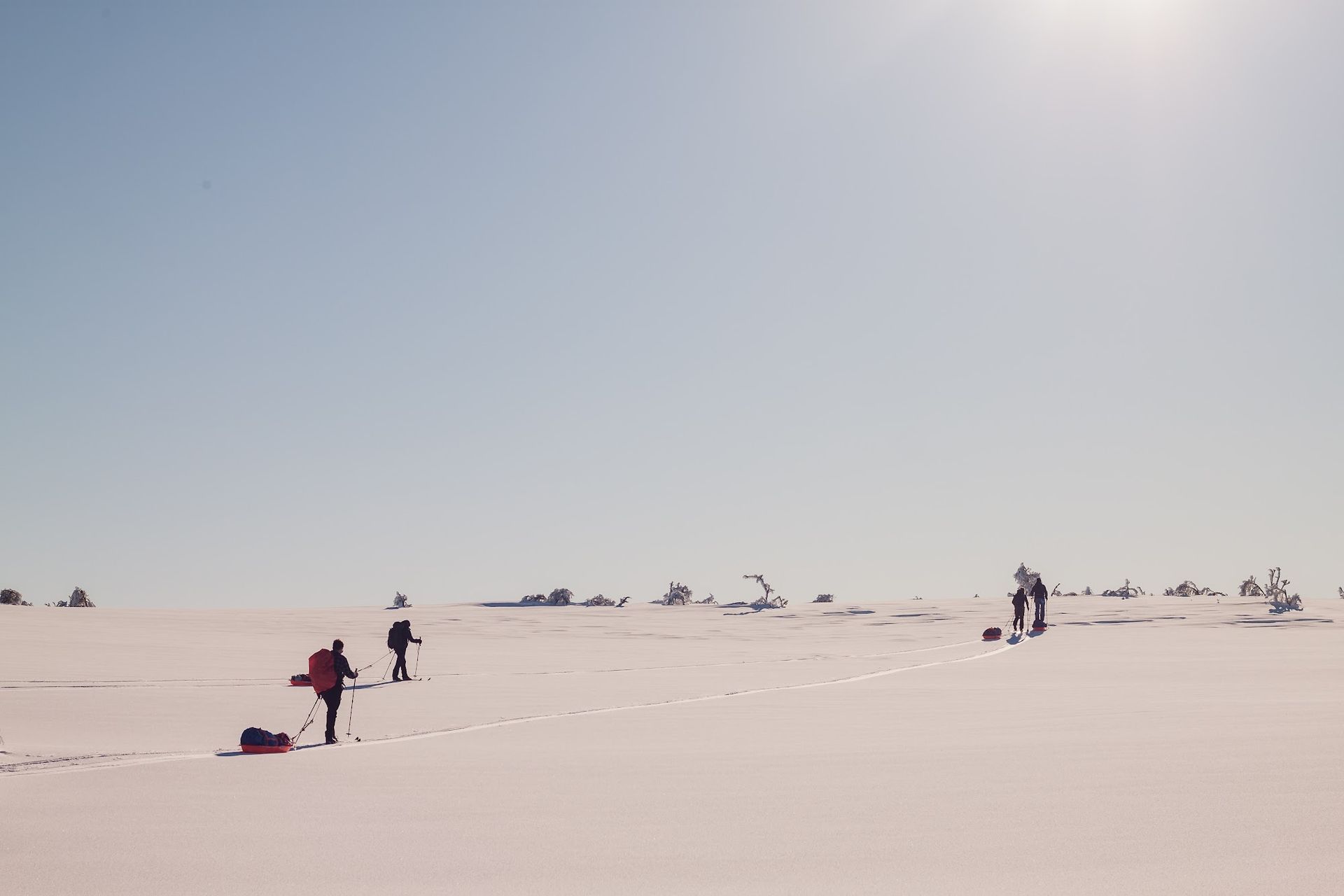 Crossing in low sunlight on the Nordkalotten
