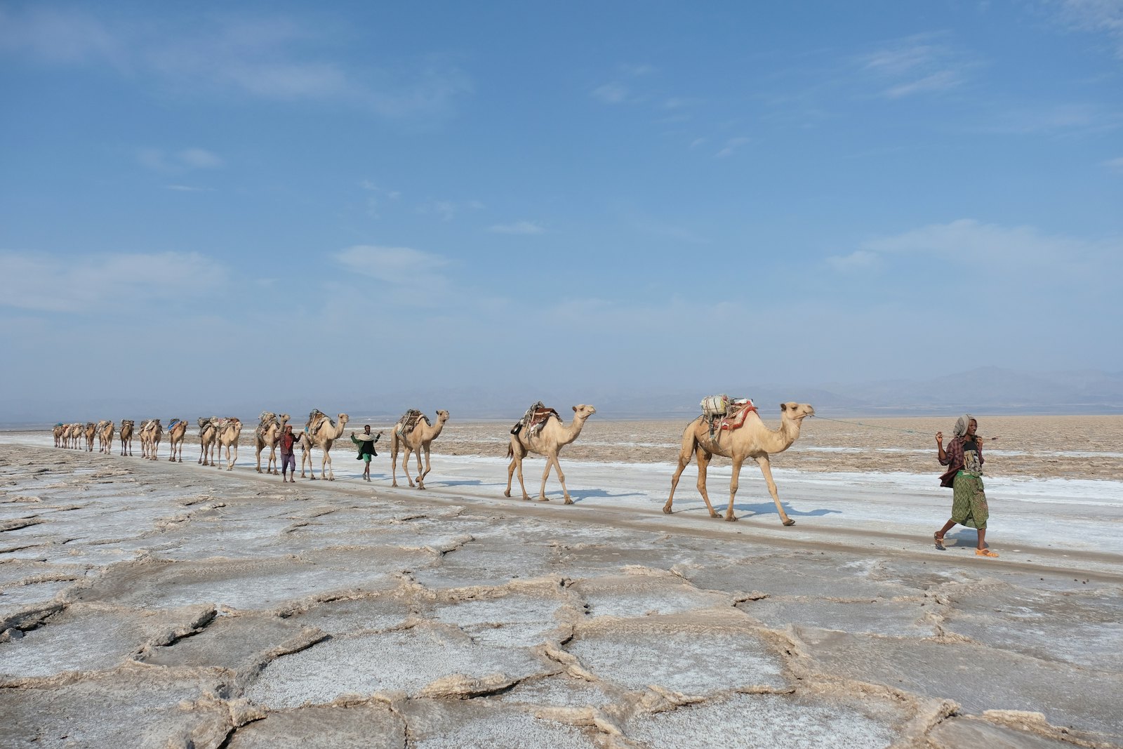 Zoutkaravaan in de Danakil in Ethiopie
