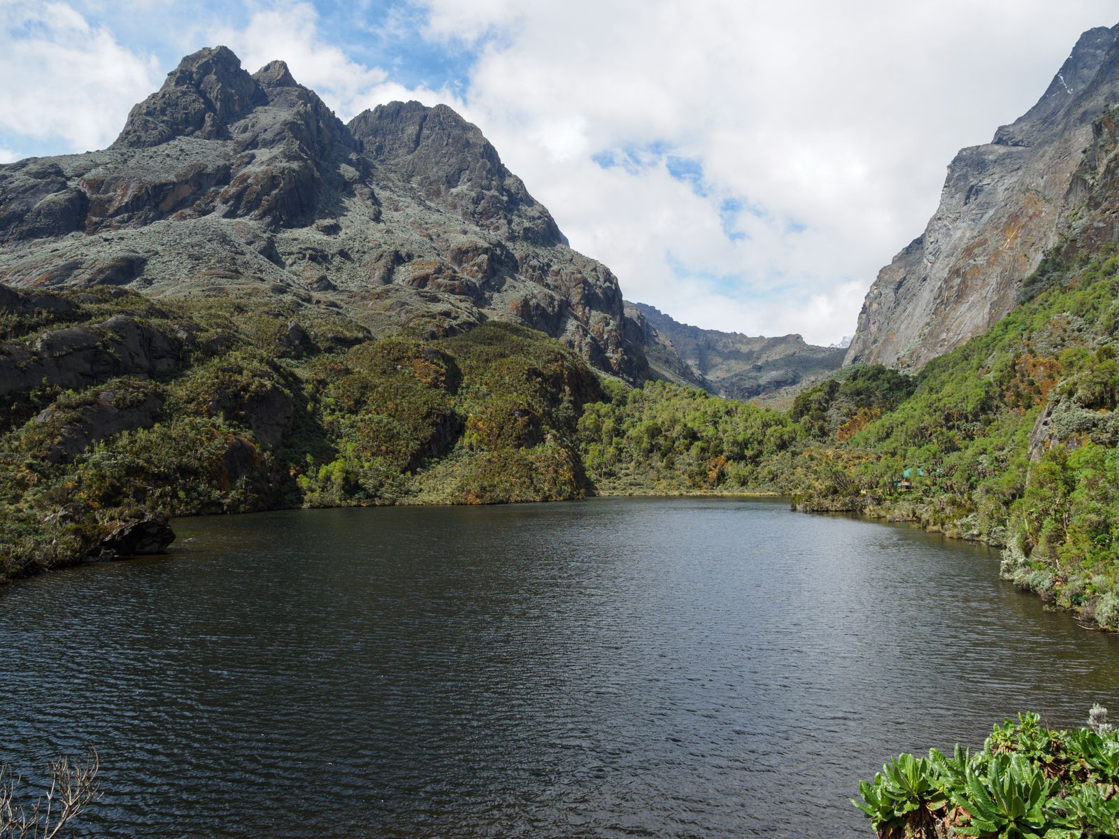 Mount Speke and Lake Bujuku, Rwenzori. Photo Rafał Kozubek, CC BY-SA 4.0