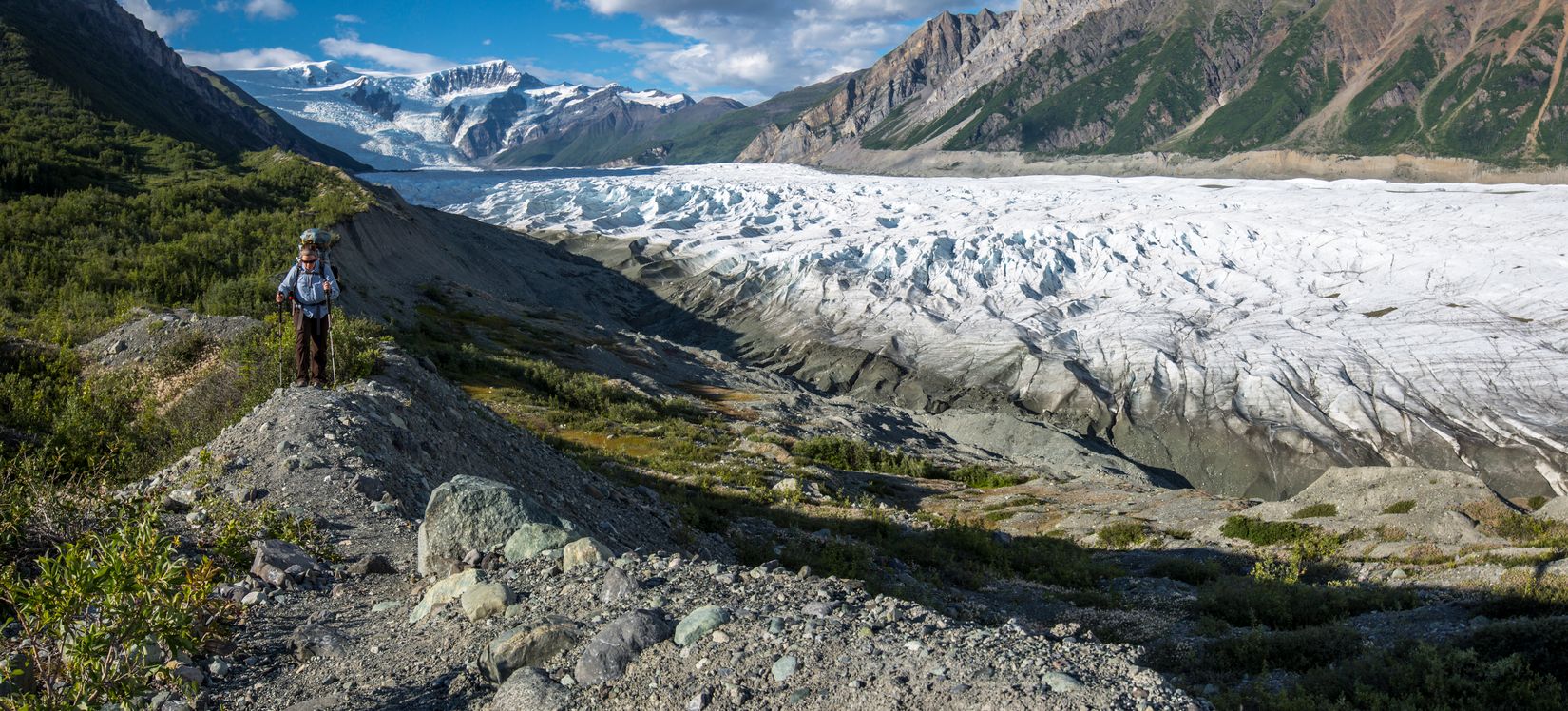 Lateral moraine of a glacier with a hiker and green slopes in Alaska