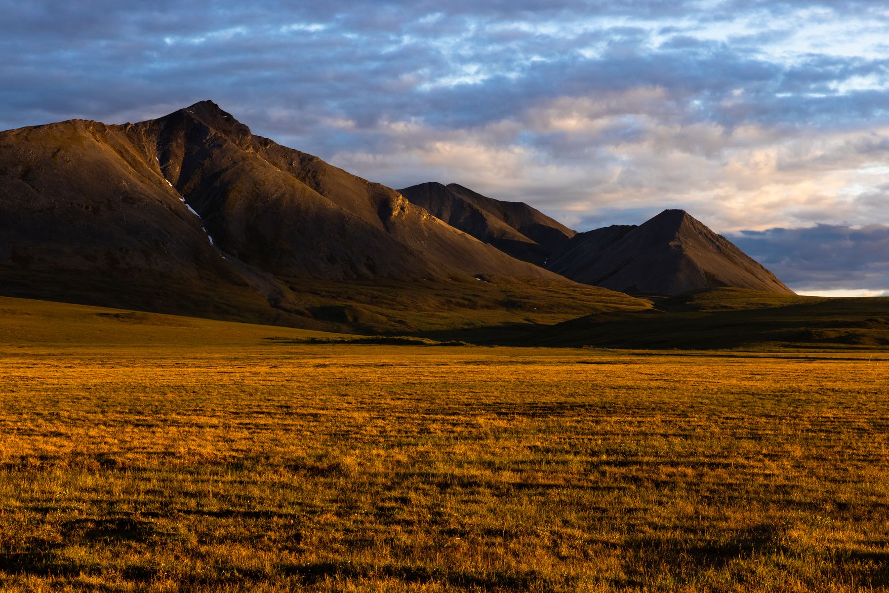 Midnight sun over the golden tundra of the Brooks Range in Alaska