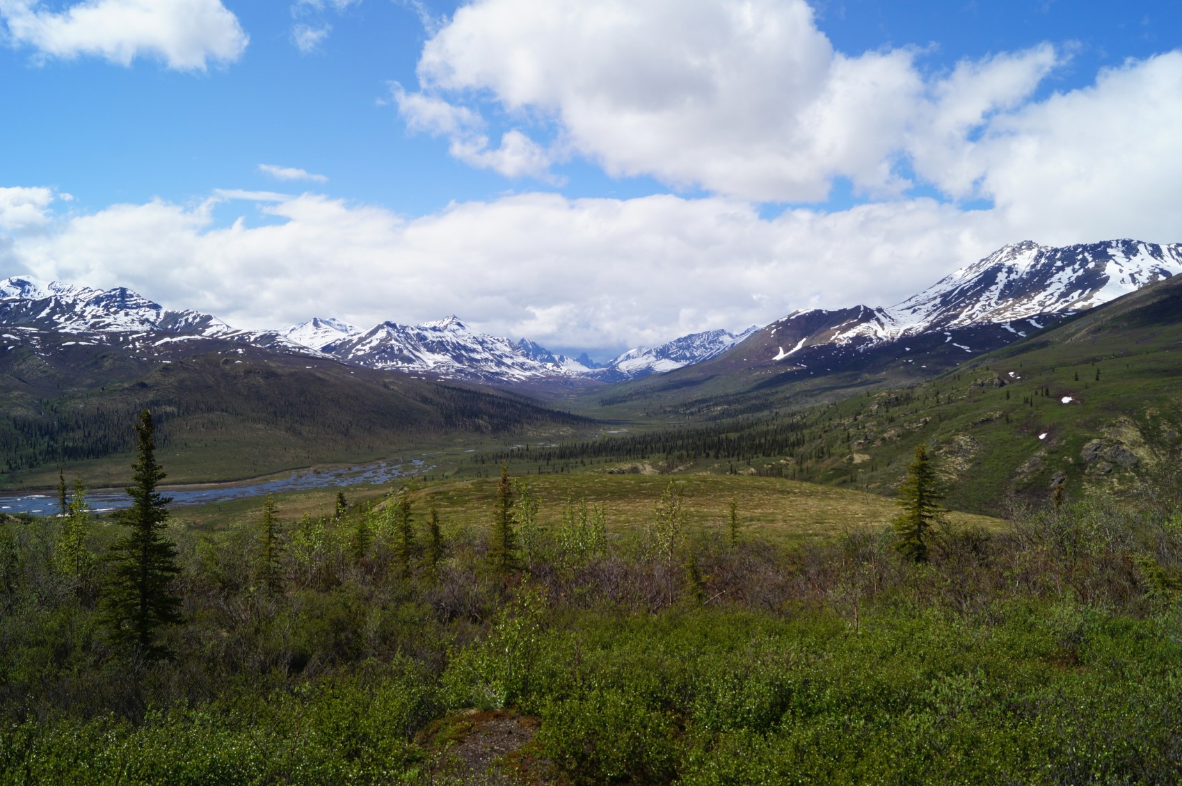 Groene toendra met besneeuwde bergketen in Yukon