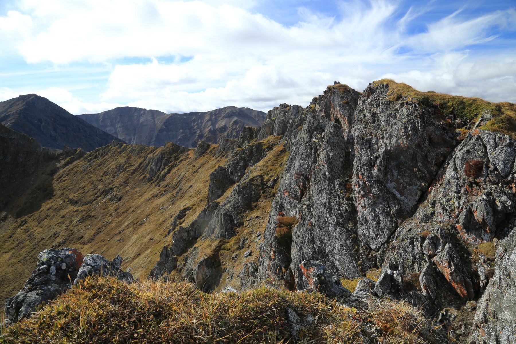 Rotsgraat met herfsttoendra in Tombstone Territorial Park
