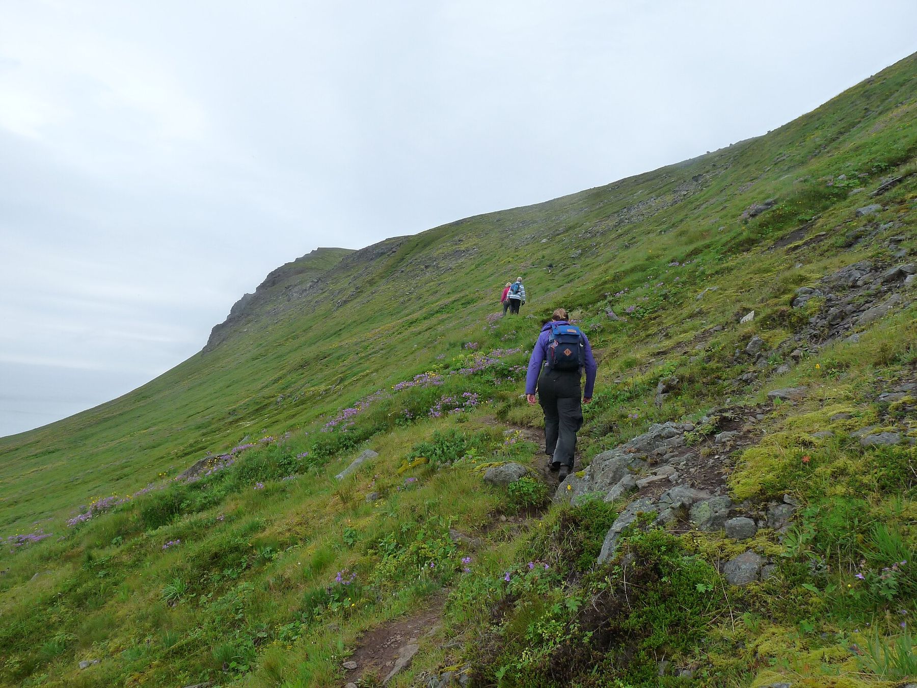 Hiker on a ridge above the sea