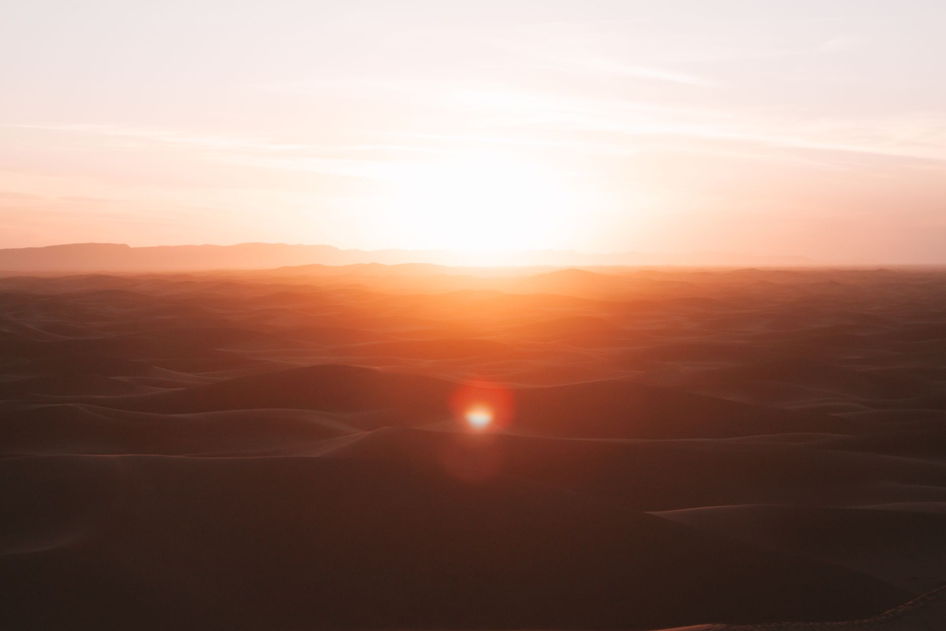 Expeditie Sahara