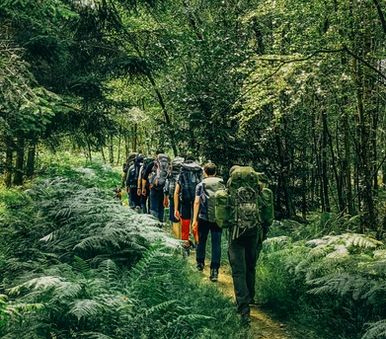 Team Development Element X