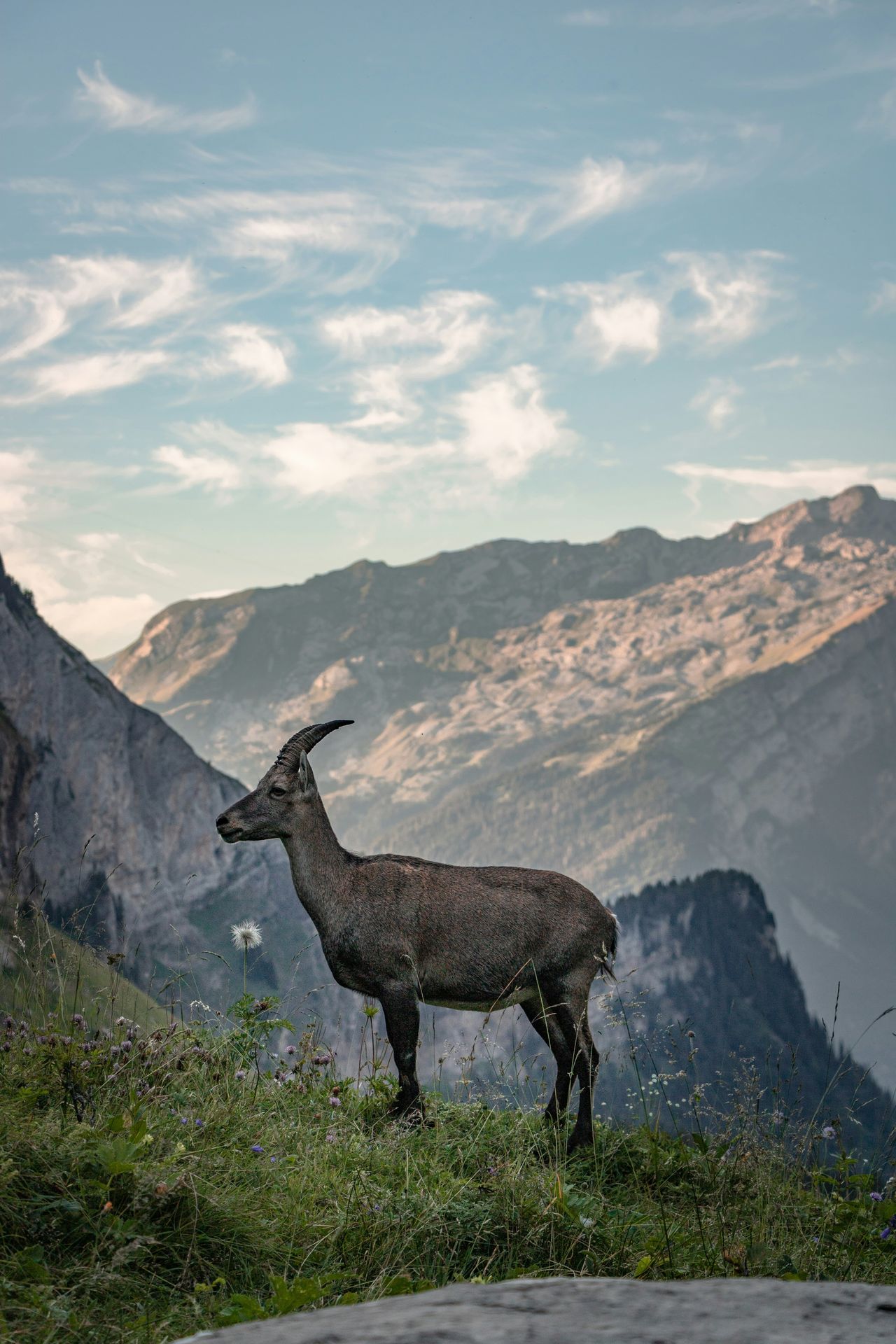 Expeditie Mont Blanc