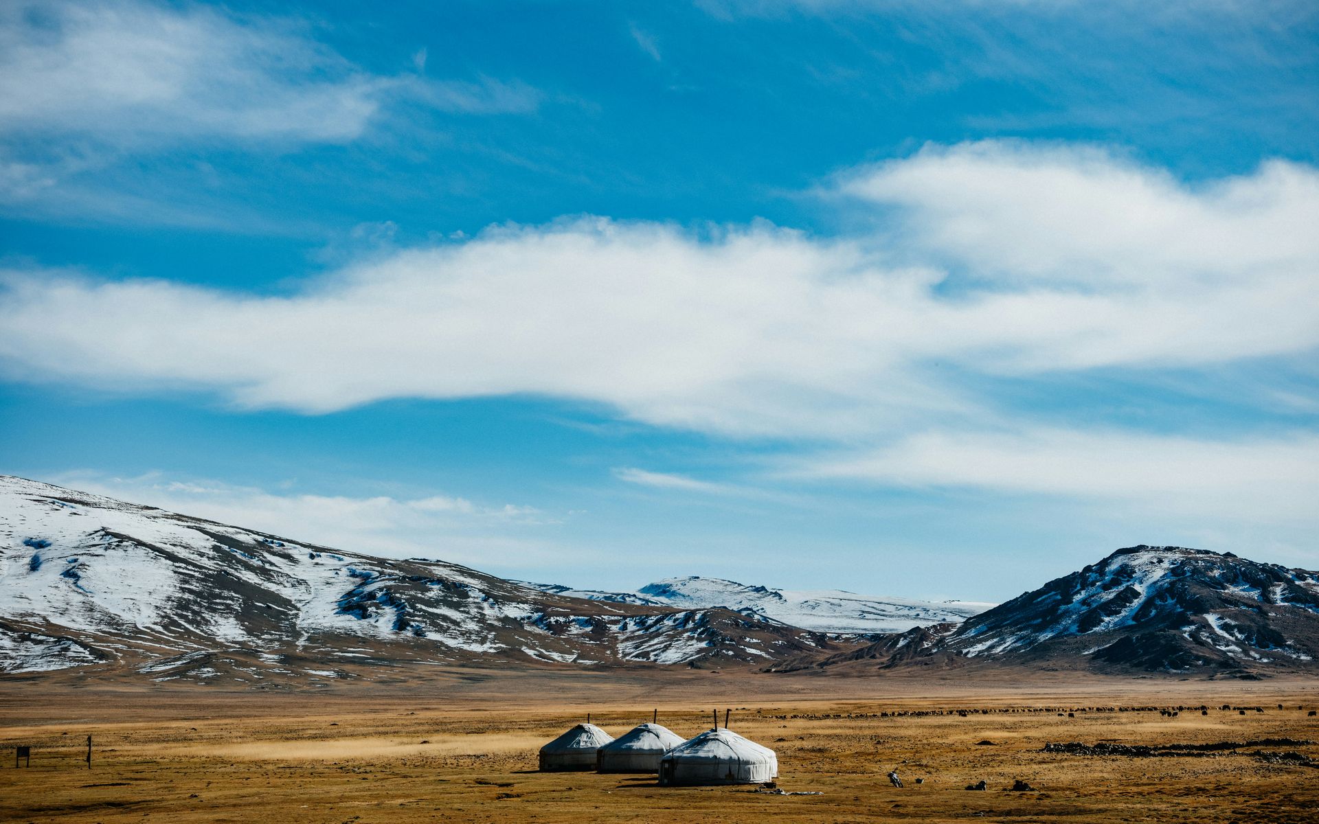 Expeditie Altai