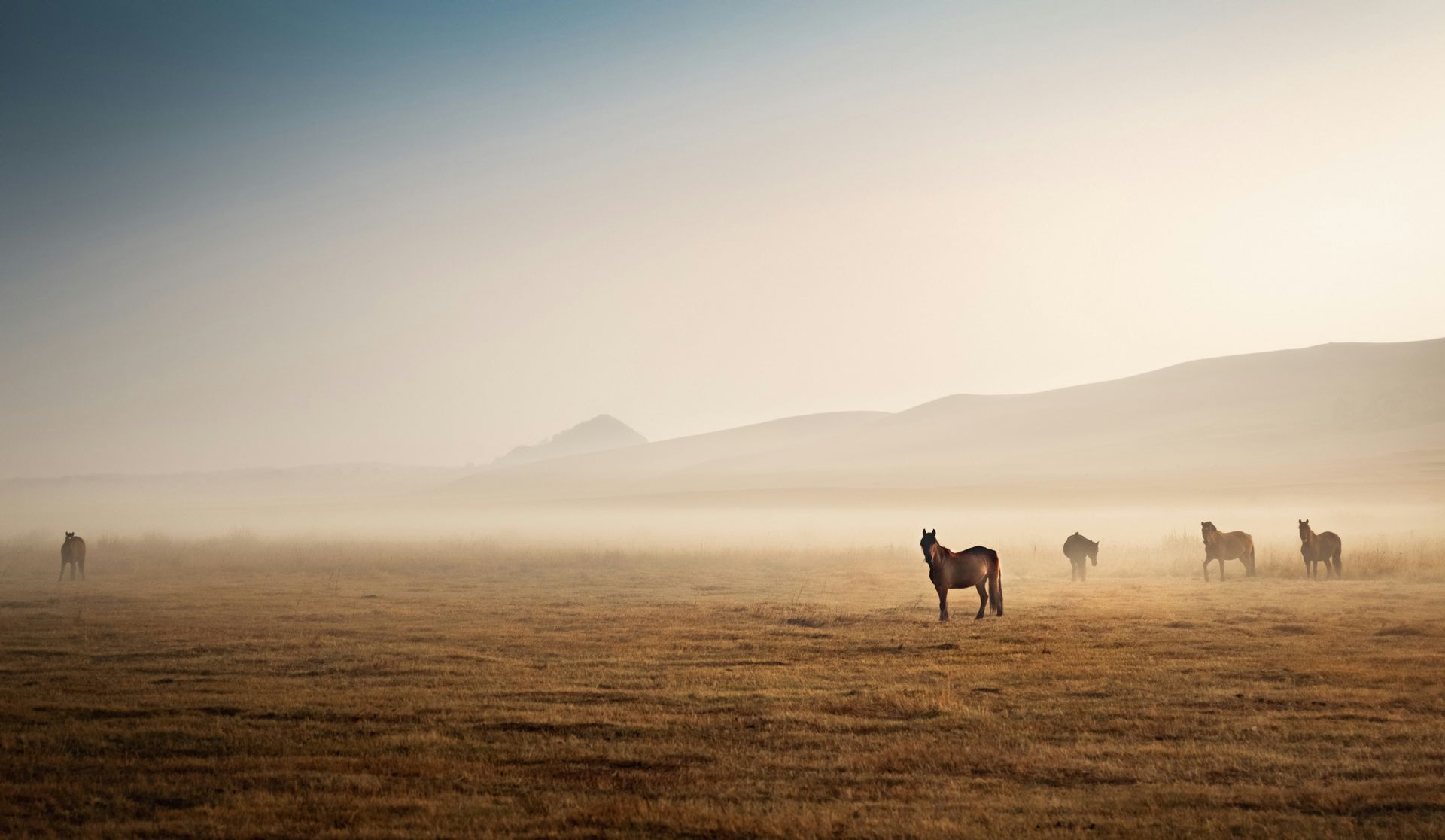 Expeditie Altai