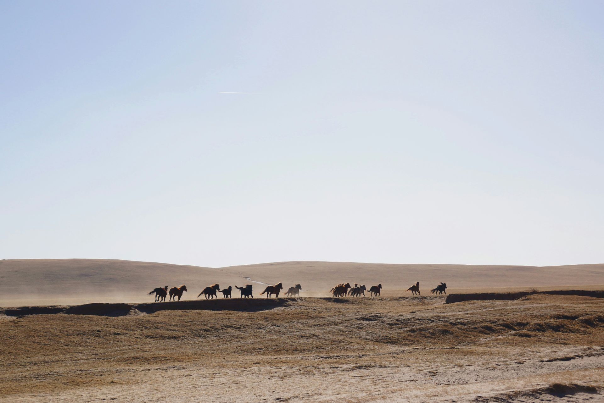 Expeditie Altai