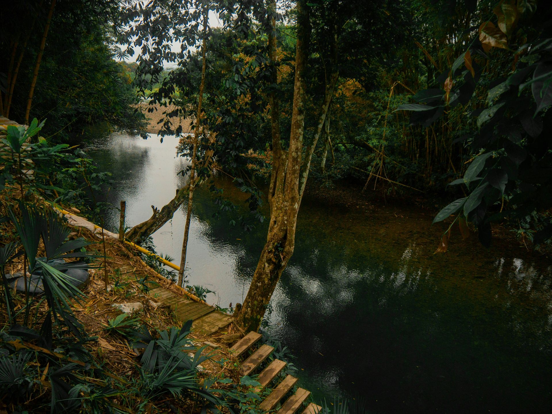 Expeditie Amazone