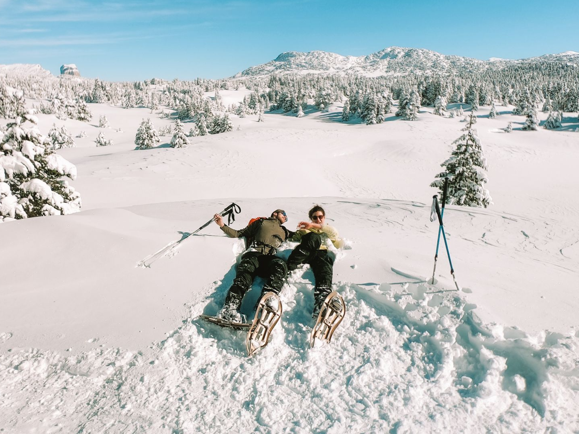 Team Development Element X