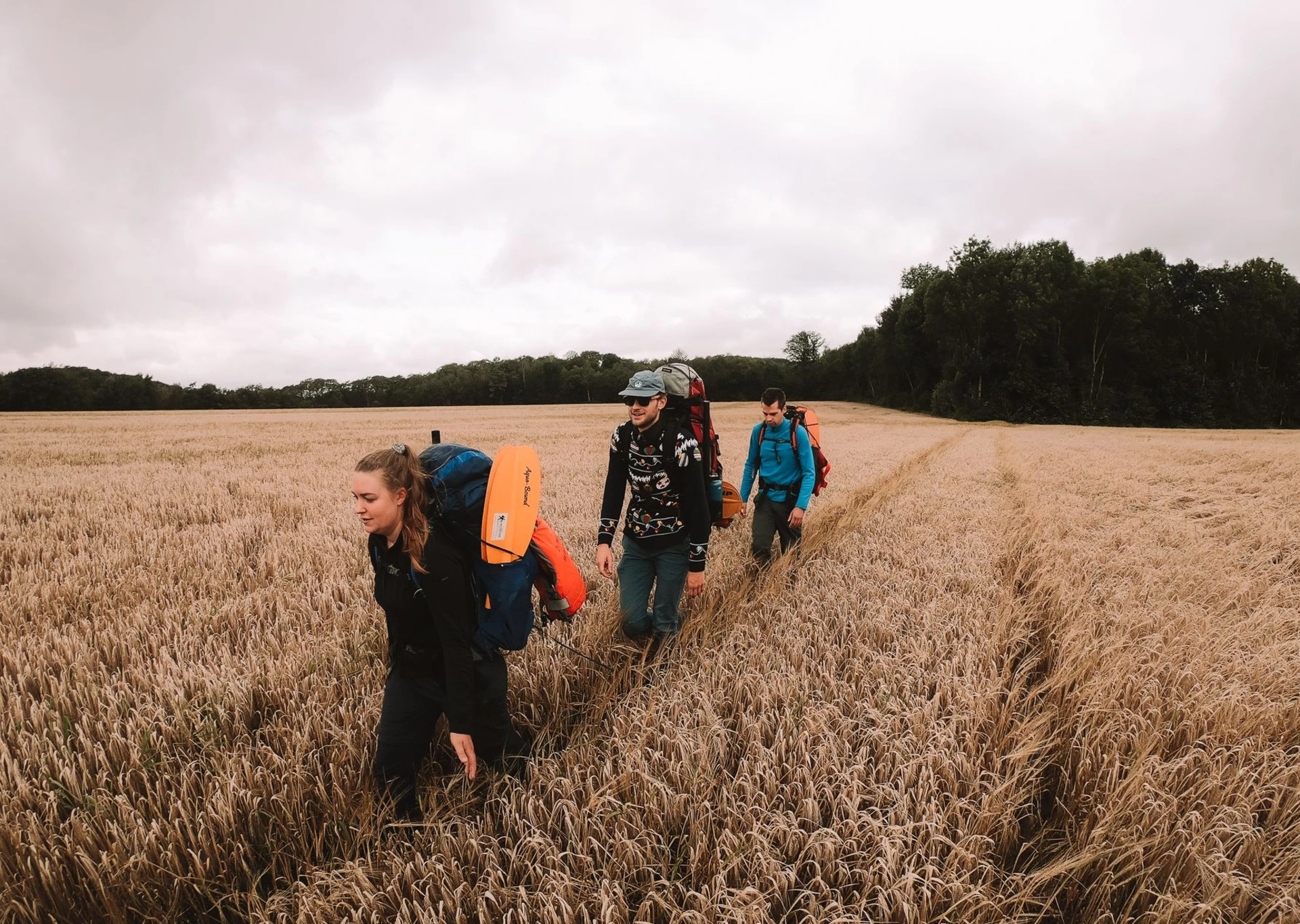 Team Development Element X