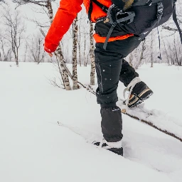 Expeditie in Lapland