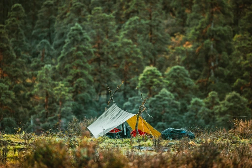 Slaapsetup tarp Element X