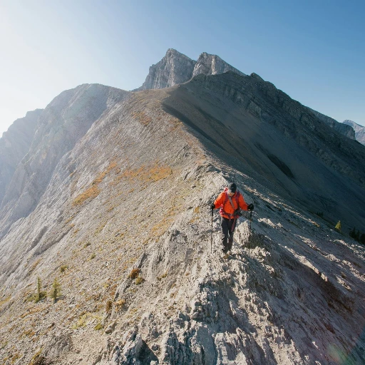 bergexpeditie Element X