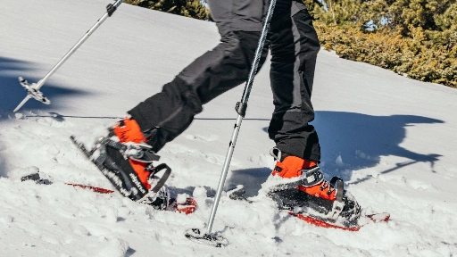 Sneeuwgebied Element X