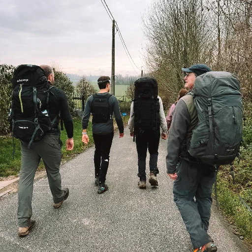 Professionele begeleiding Element X