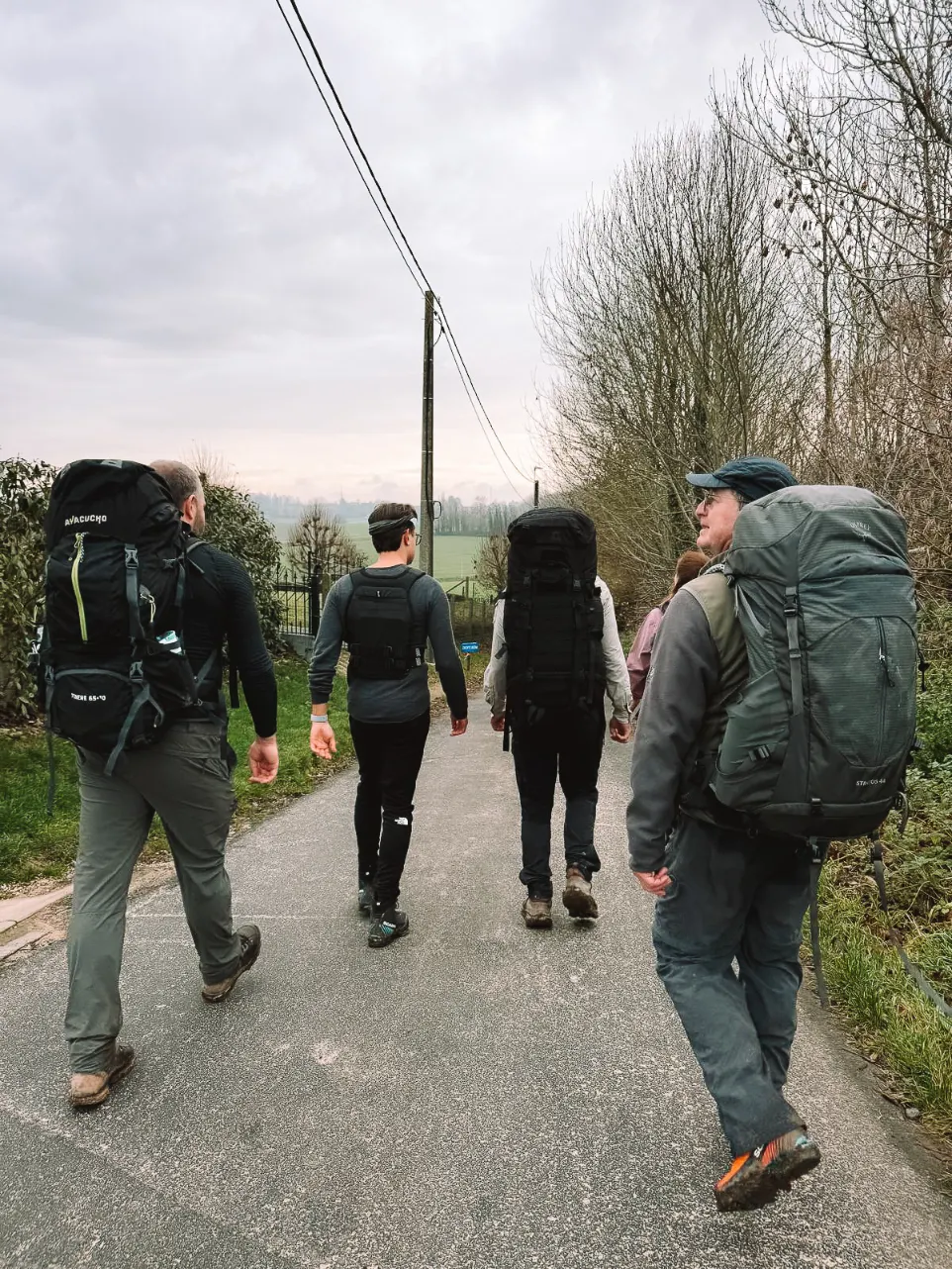 Professionele begeleiding Element X