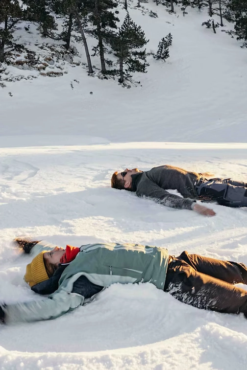 Sneeuwgebied Element X