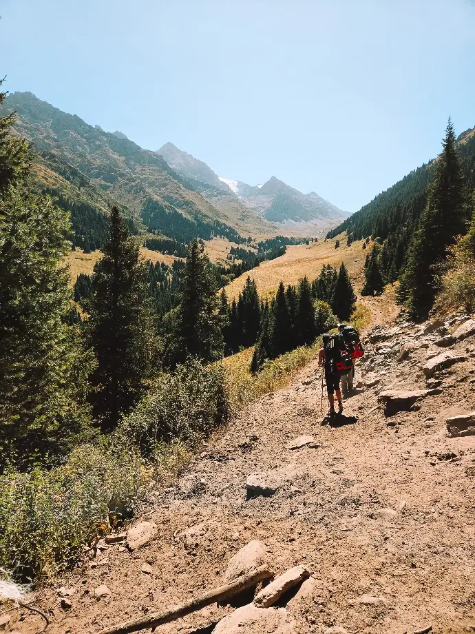 Wildernis expeditie Element X