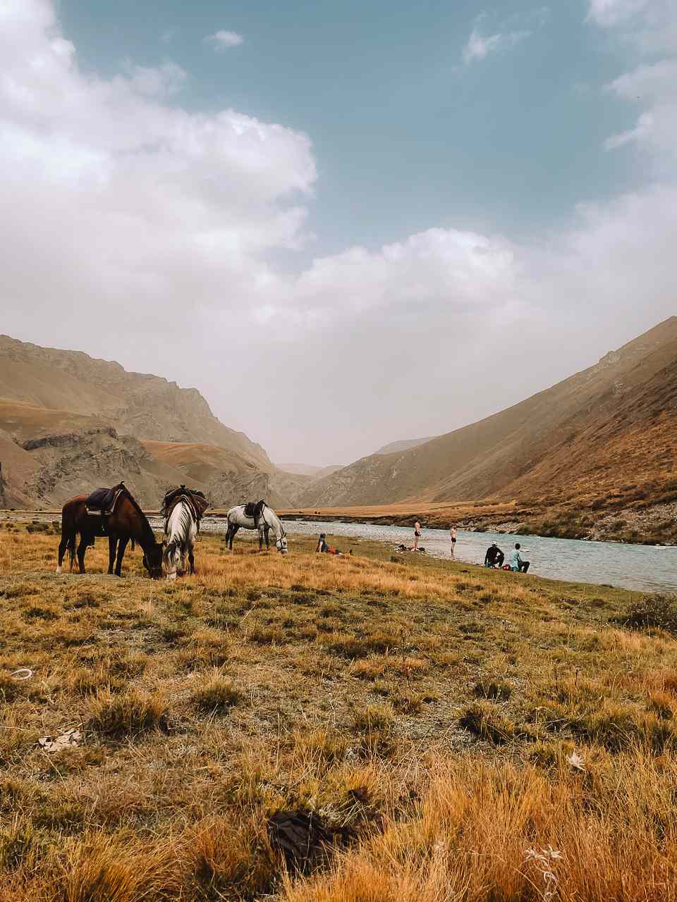 Wildernis expeditie Element X