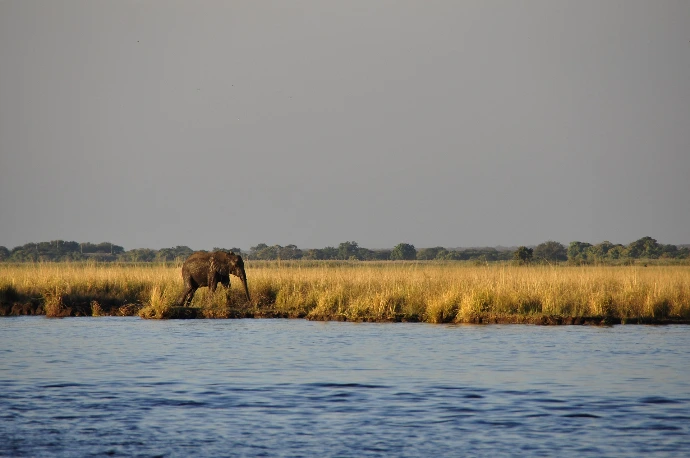 Walking Safari - Botswana