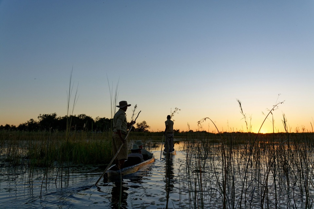 [WEB-BWA280801] Expeditie Walking Safari
