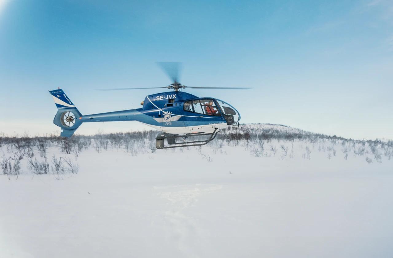 Expedition Escape The Arctic