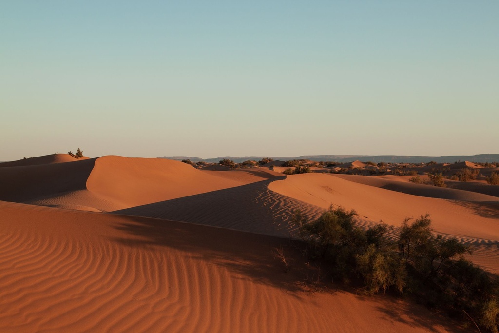 Expedition Sahara